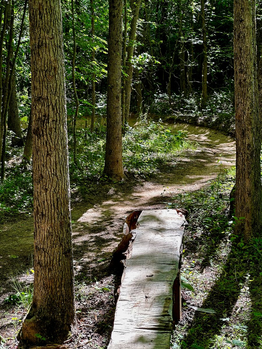 Mazeppa Park