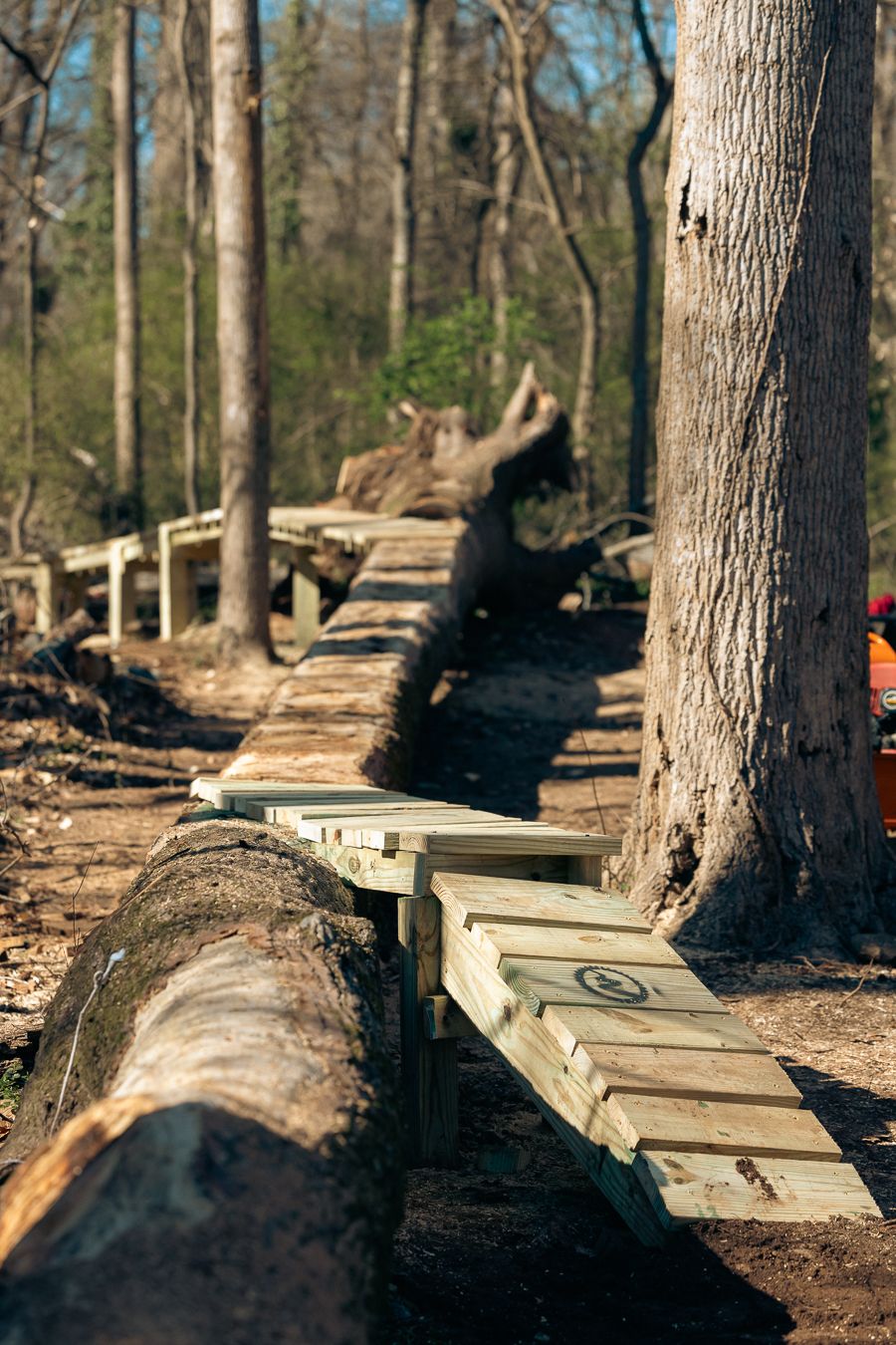 Backyard Trails