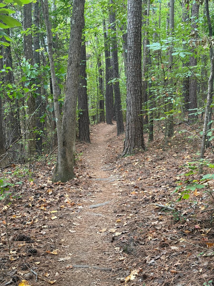 North Meck Park
