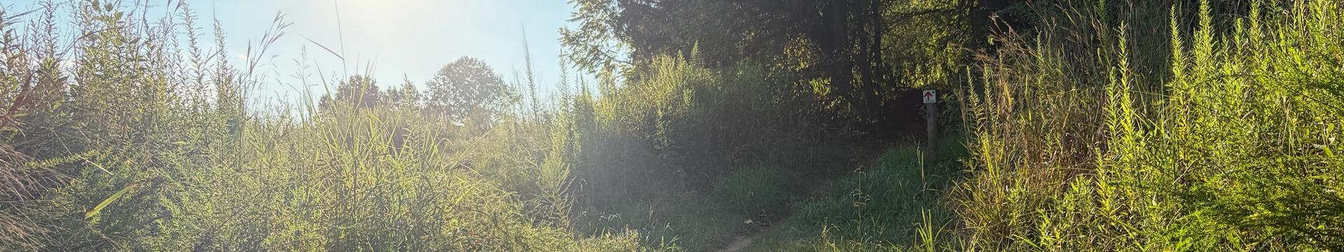 Fisher Farm Park