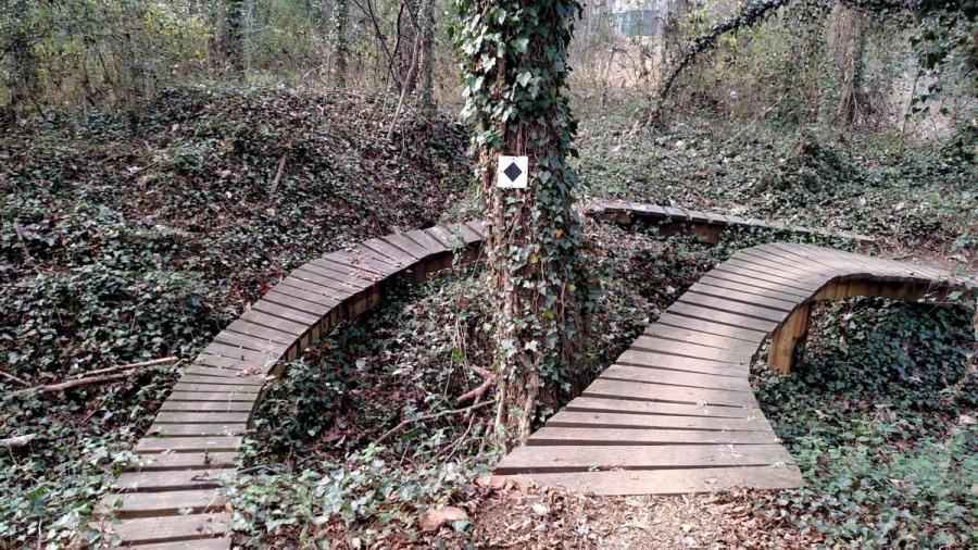 Backyard Trails
