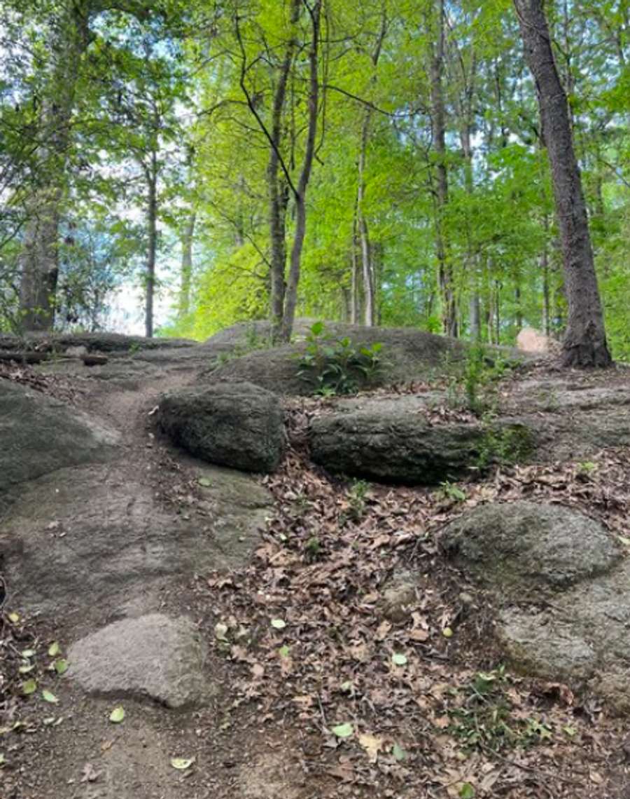 Brown Mill Trail