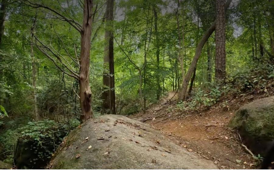 Brown Mill Trail