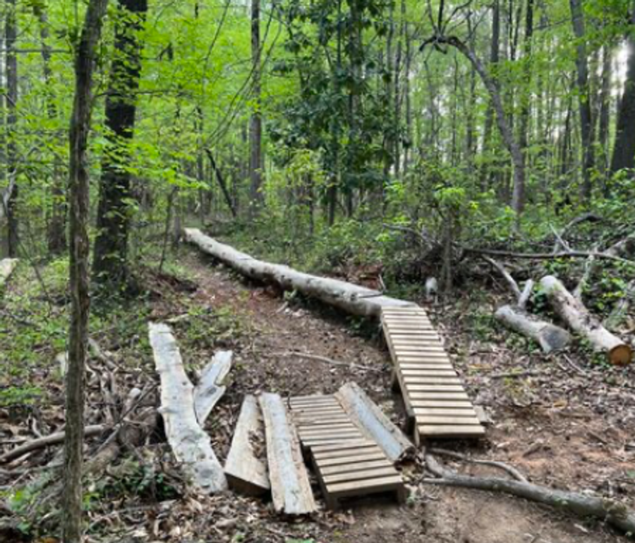Brown Mill Trail