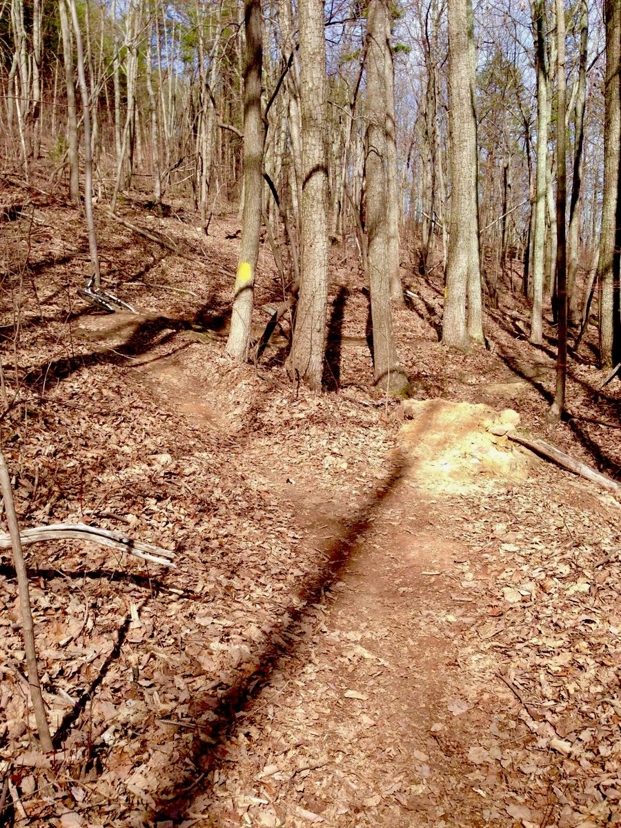 George Poston Park