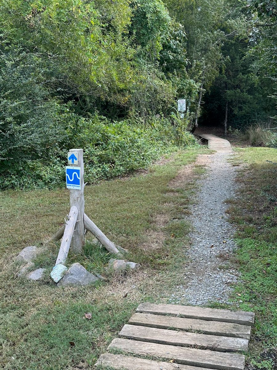 Renaissance Park