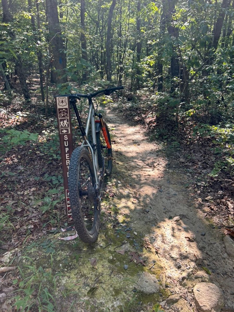 Supertree trail, Uwharrie