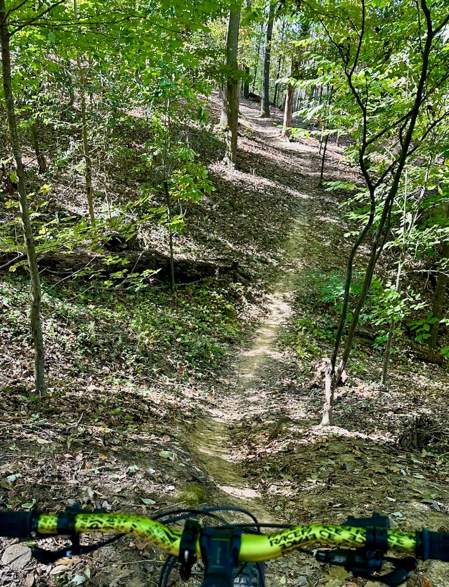 Park Road Park