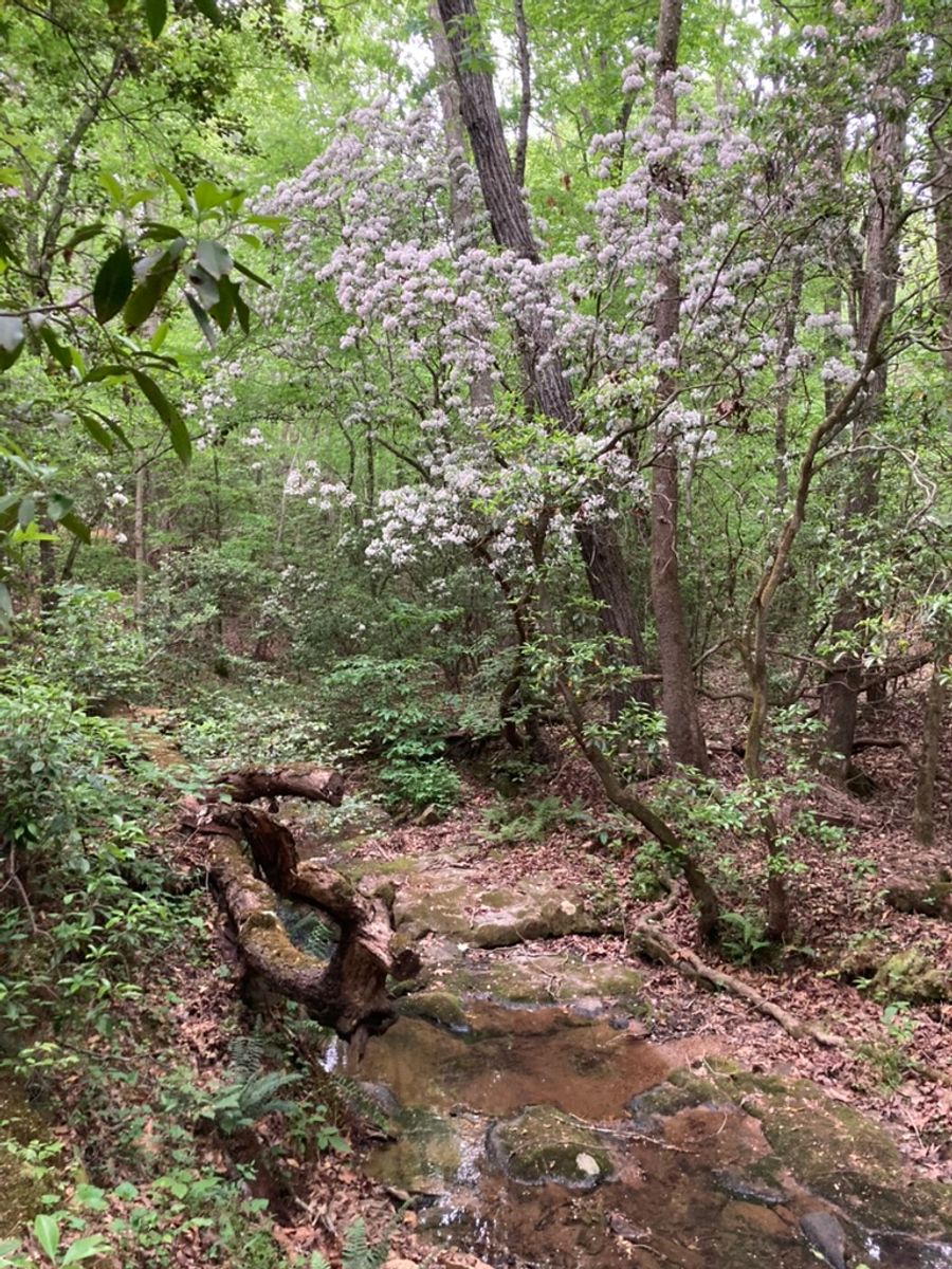 Mountain Creek Park