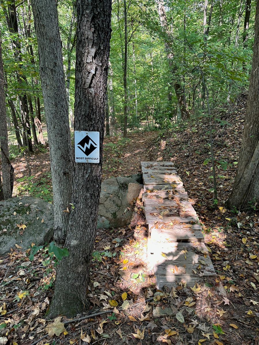 Renaissance Park