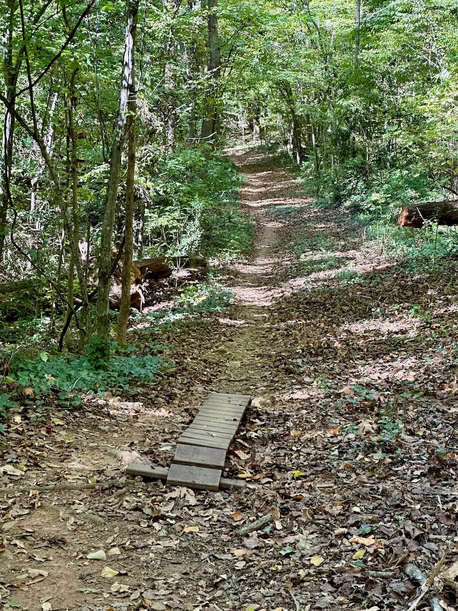 Park Road Park