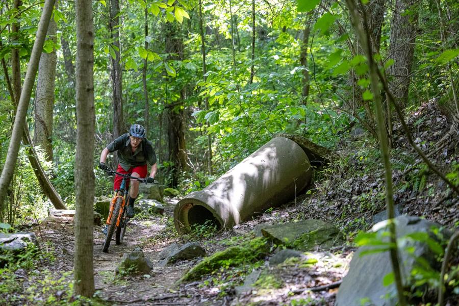 Backyard Trails