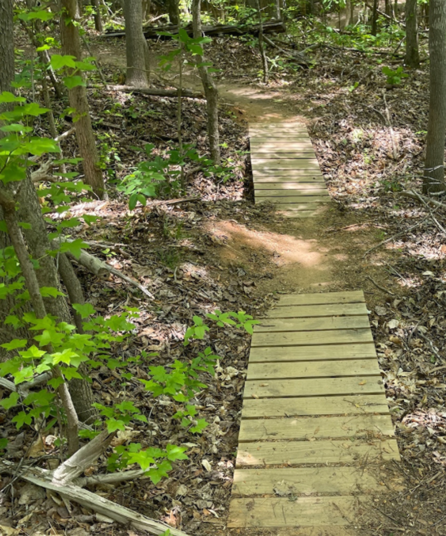 Brown Mill Trail