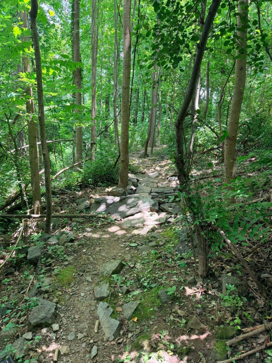 Backyard Trails