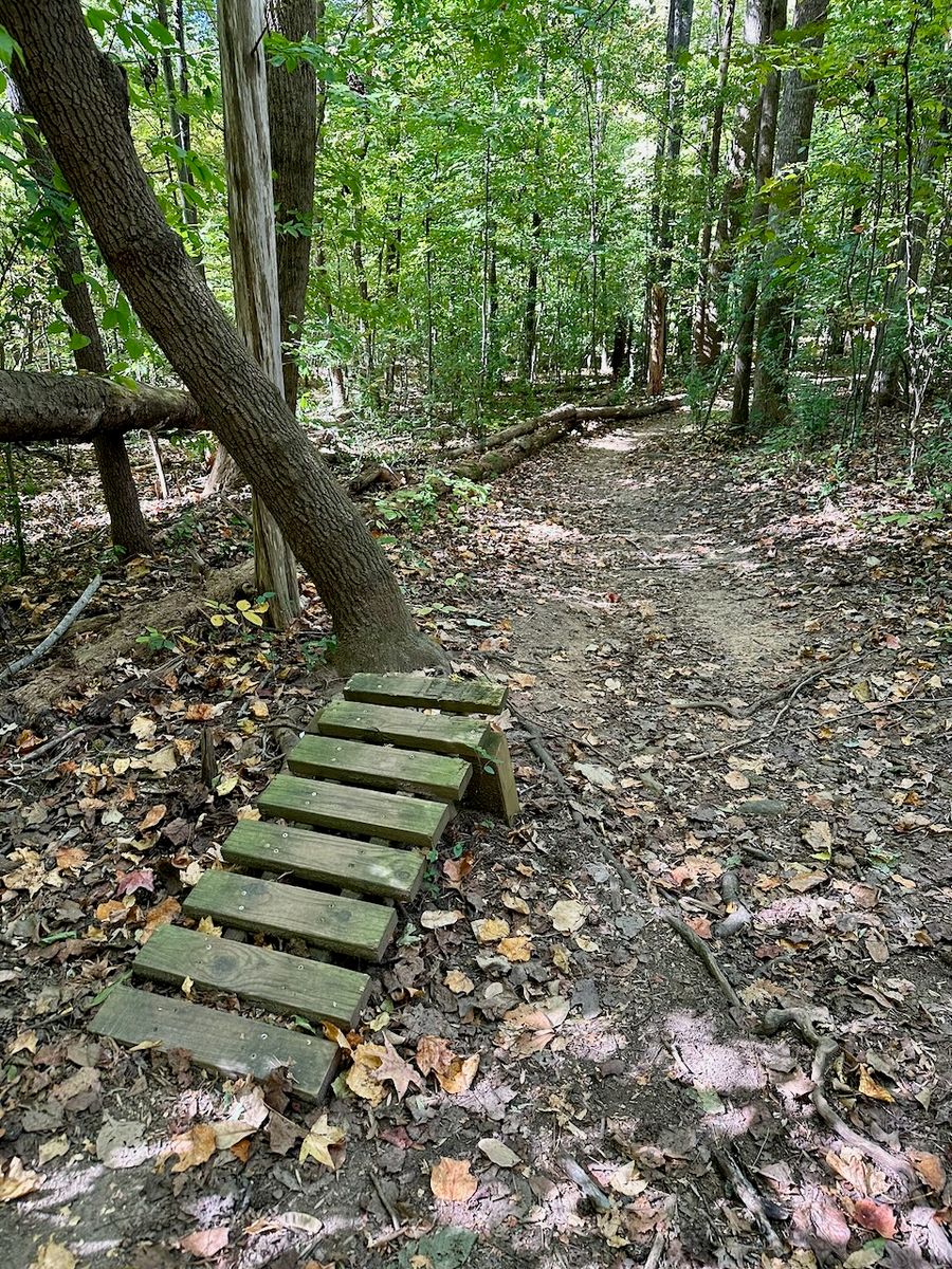 Park Road Park