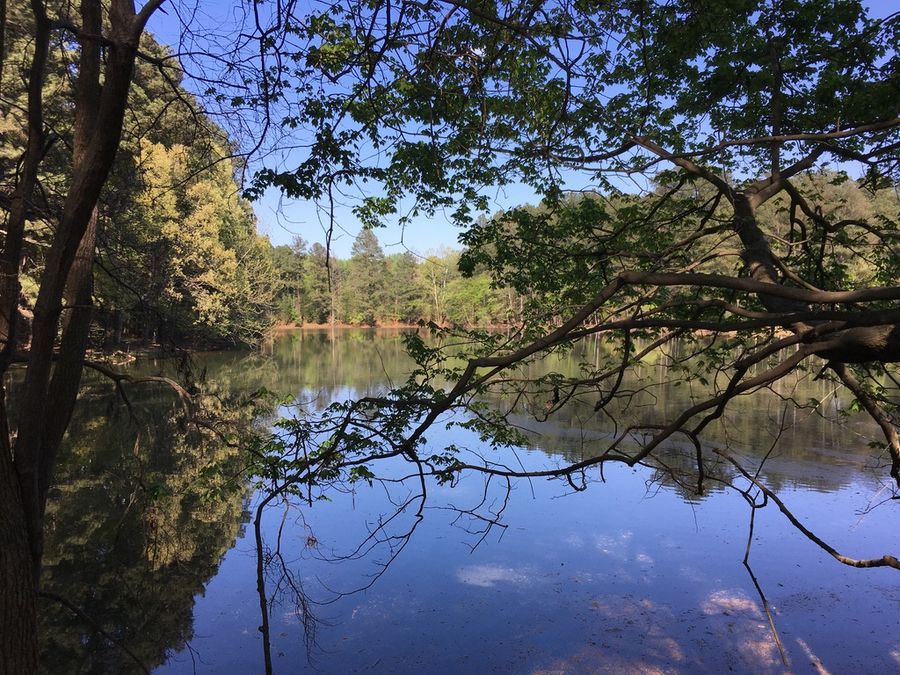 USNWC
