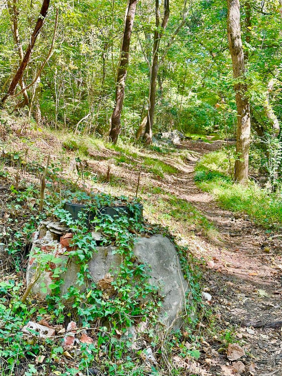 Park Road Park