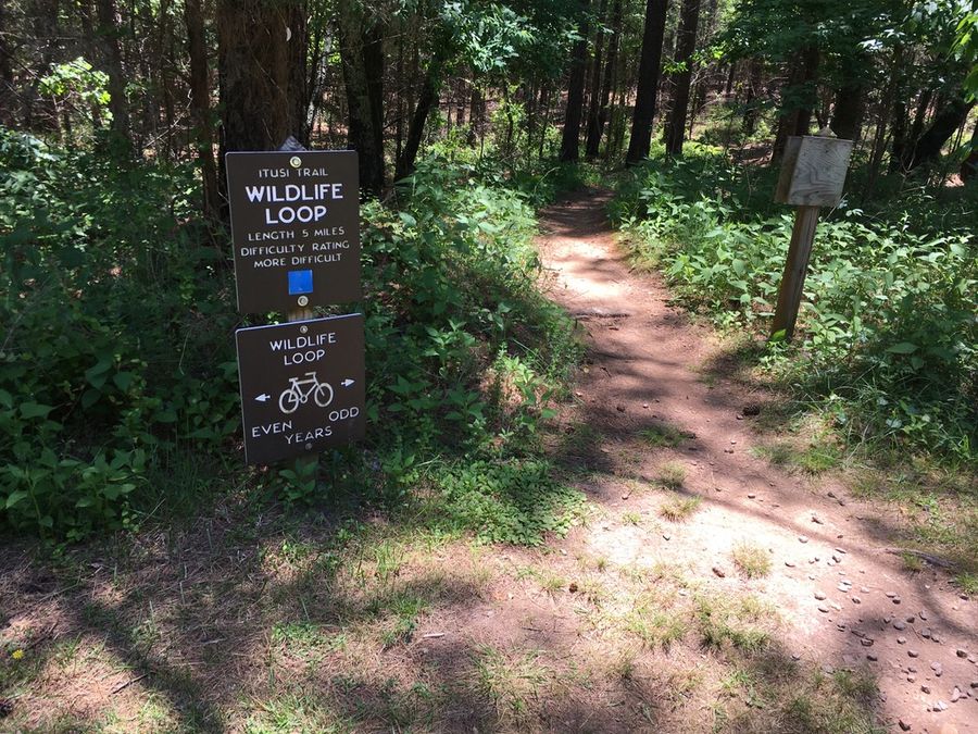 Lake Norman State Park