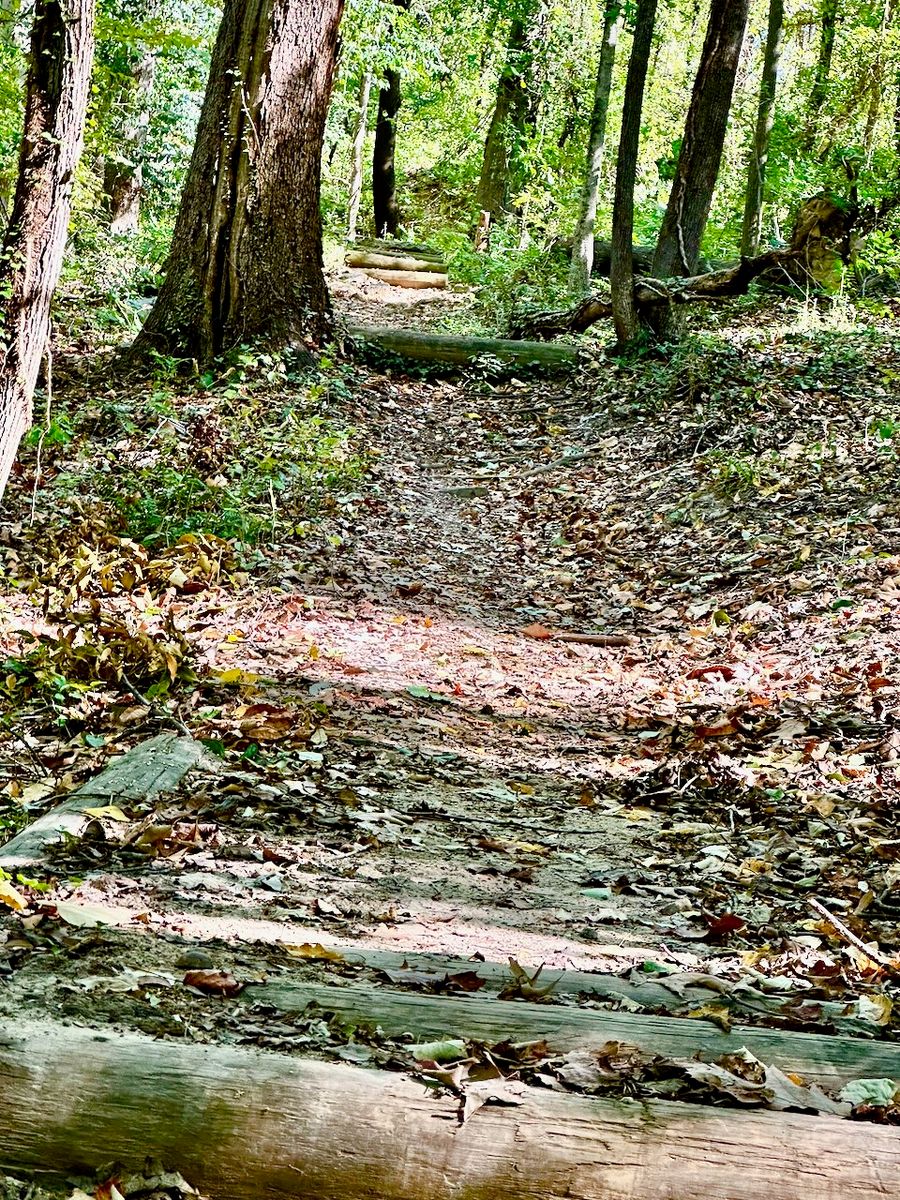 Park Road Park