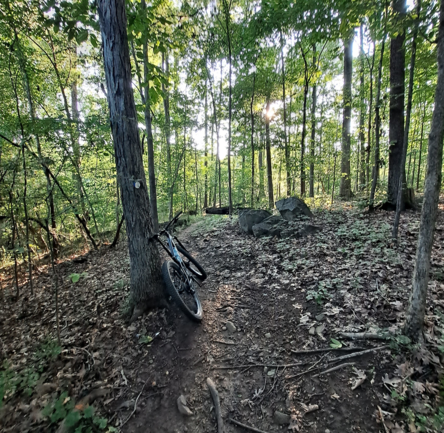 Park Road Park