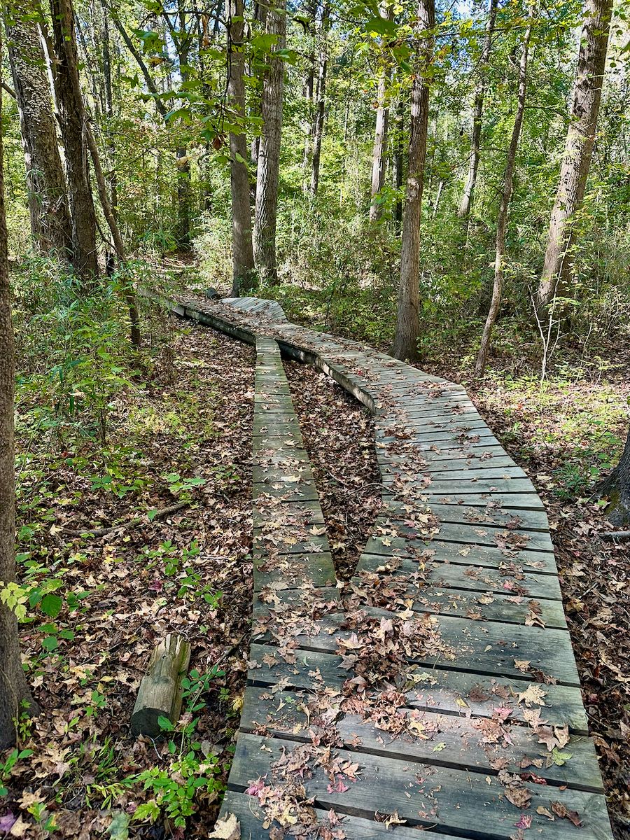 Mountain Island Park