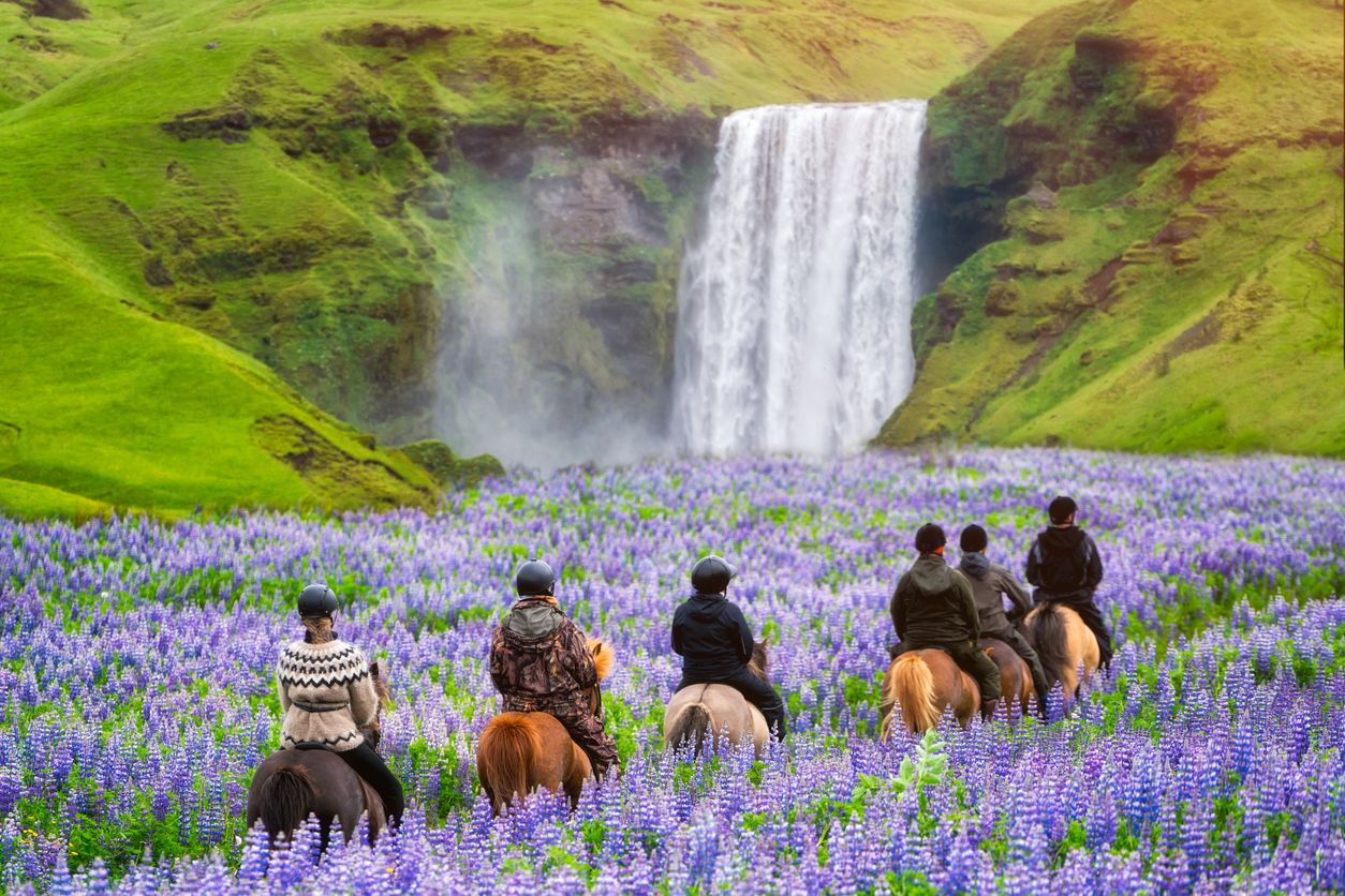 Skogafoss Waterfall, Iceland