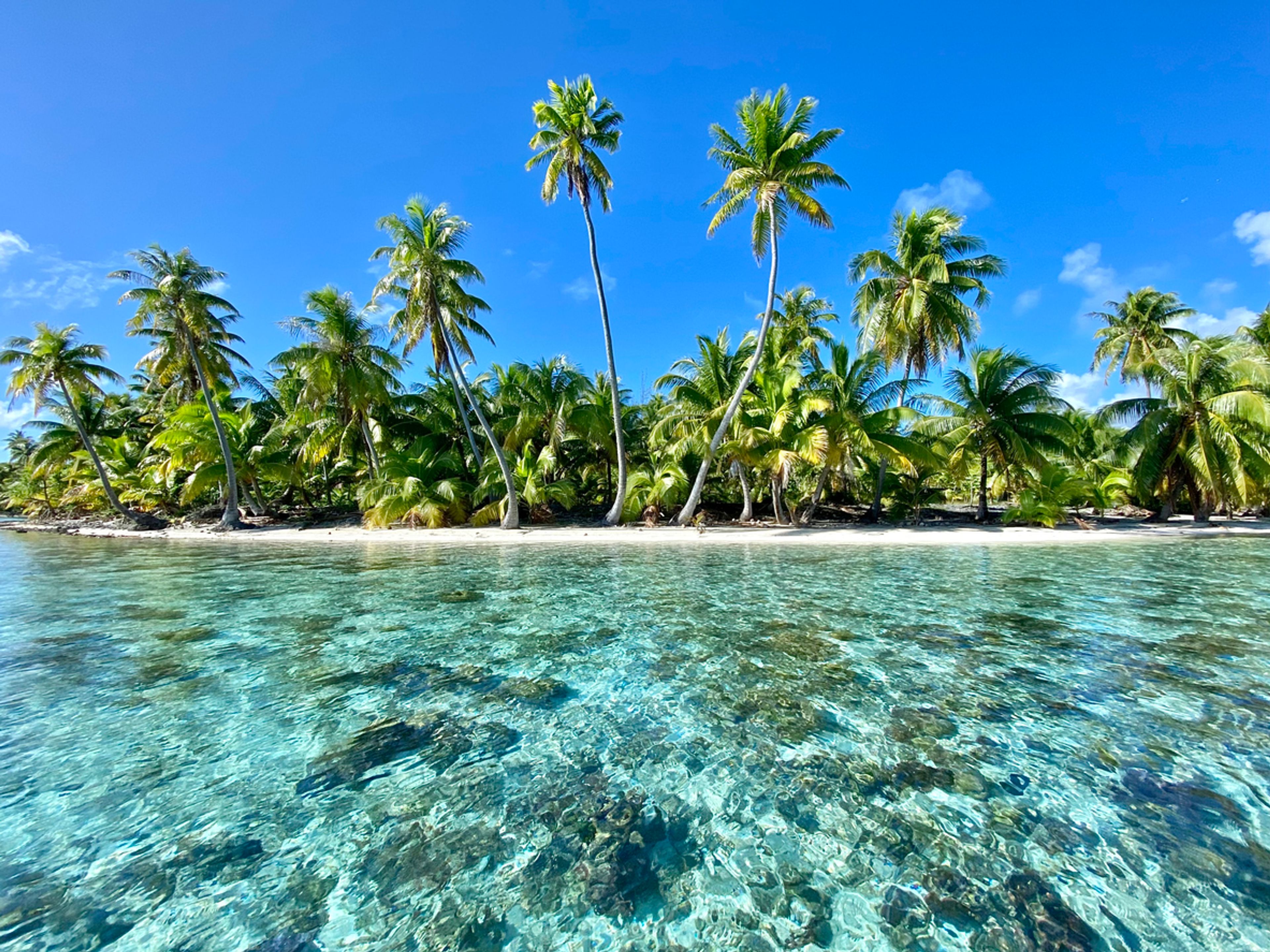 Fiji