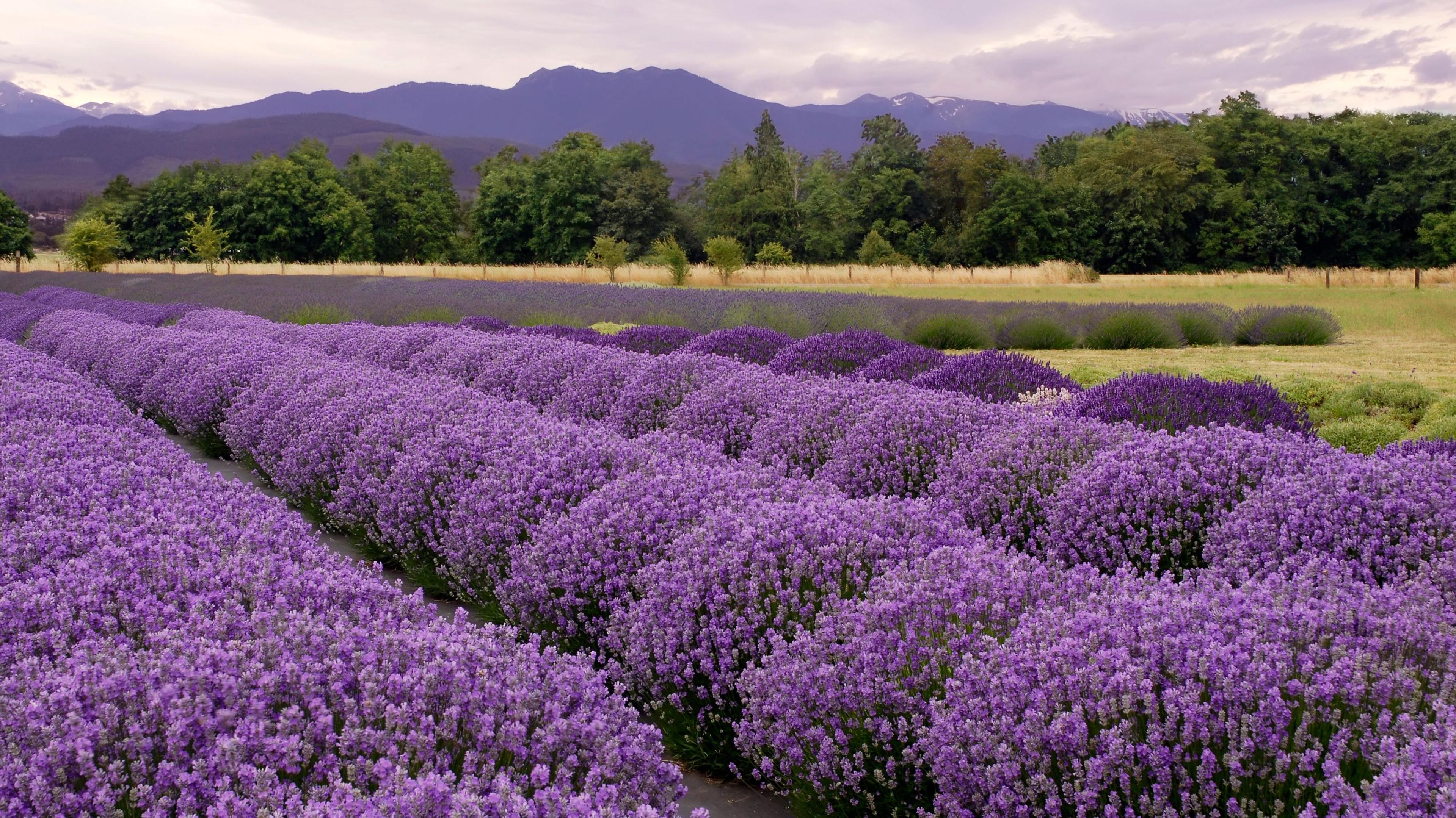 Summer Hidden Gems: Five Places to Visit This Summer in the US