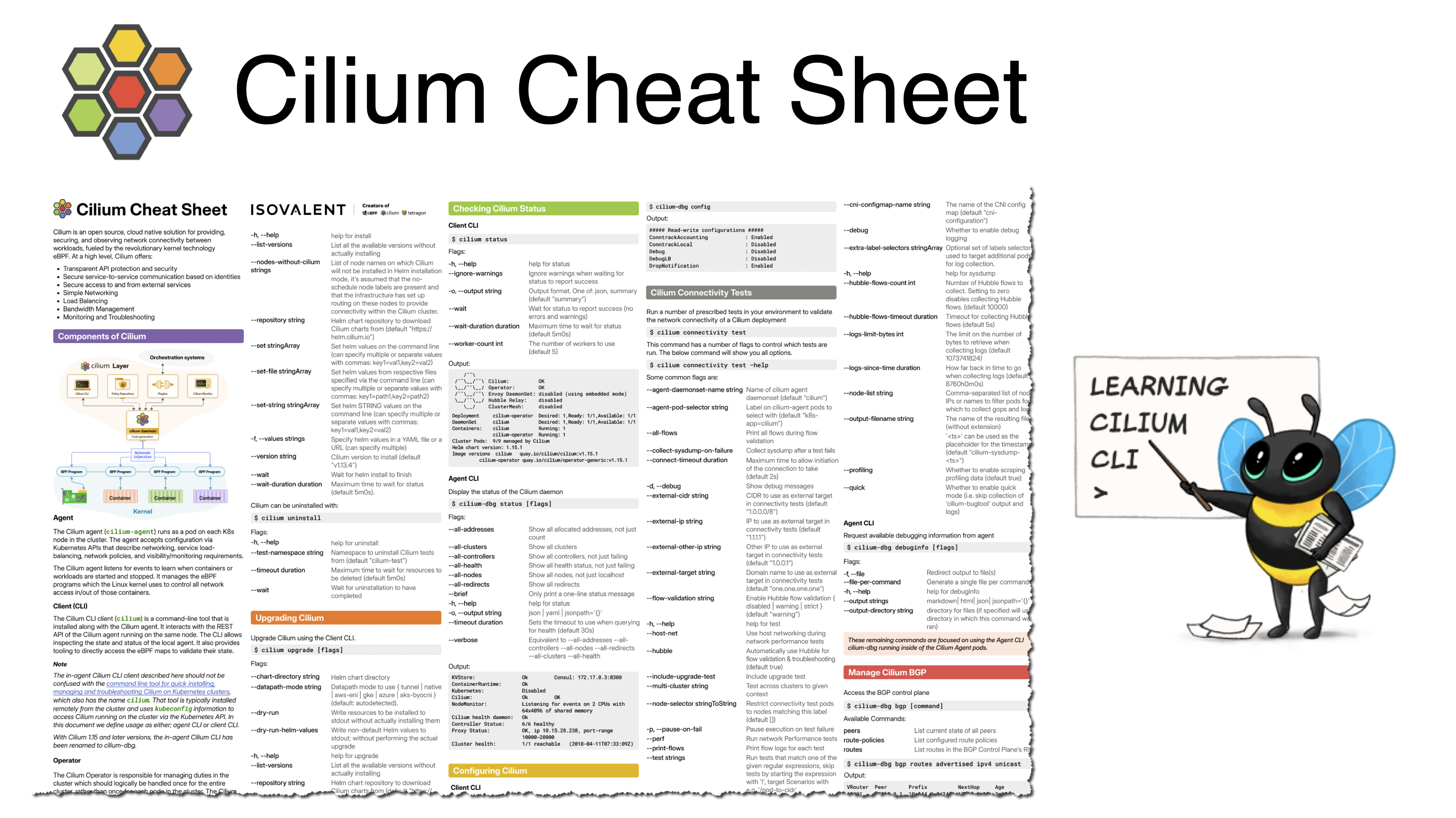 Gene-specific reversal of carbapenem-resistant Pseudomonas aeruginosa via  phage-delivered CRISPR-Cas13a | npj Antimicrobials and Resistance, image size:3200x1800