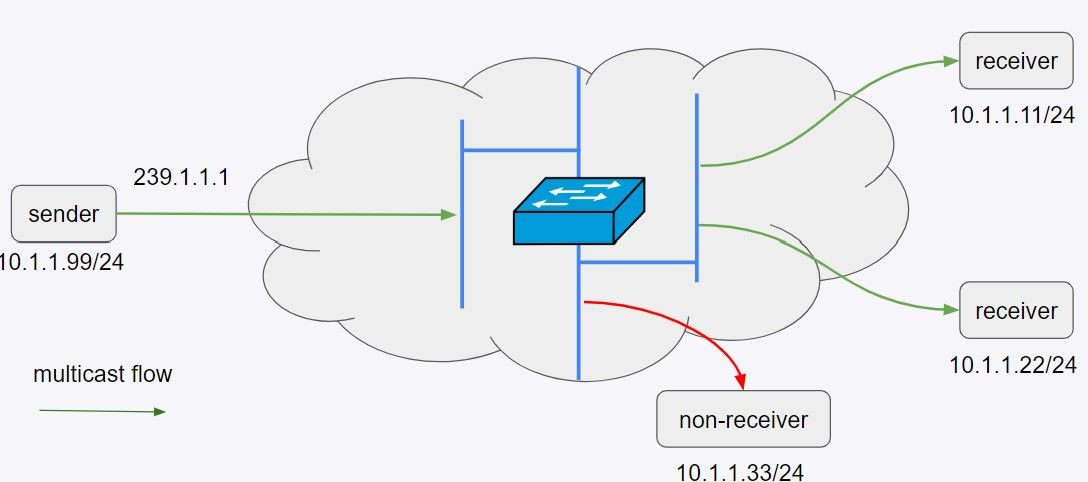 Enabling Multicast Securely With Ipsec in the Cloud Native