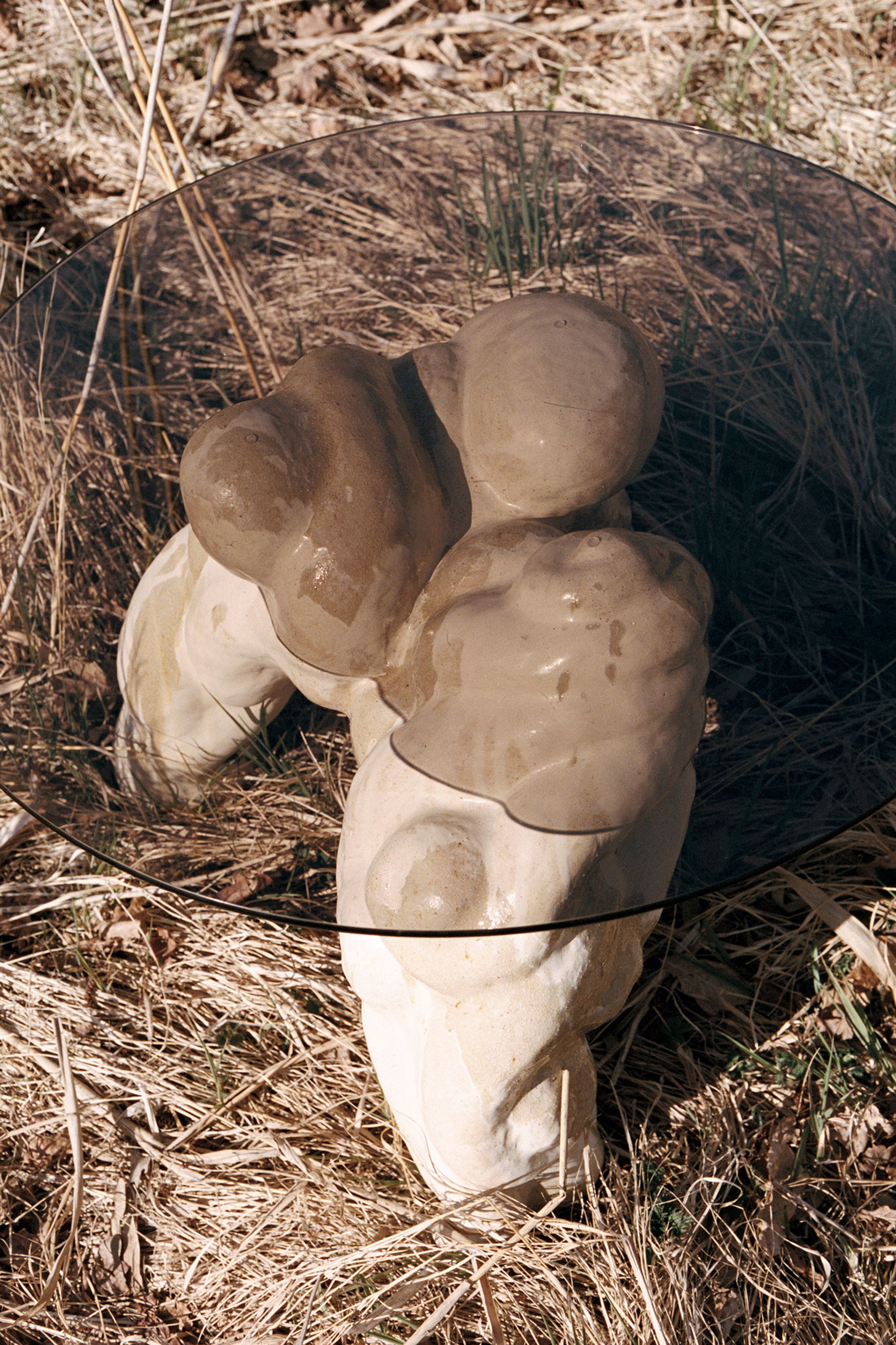 Petrified