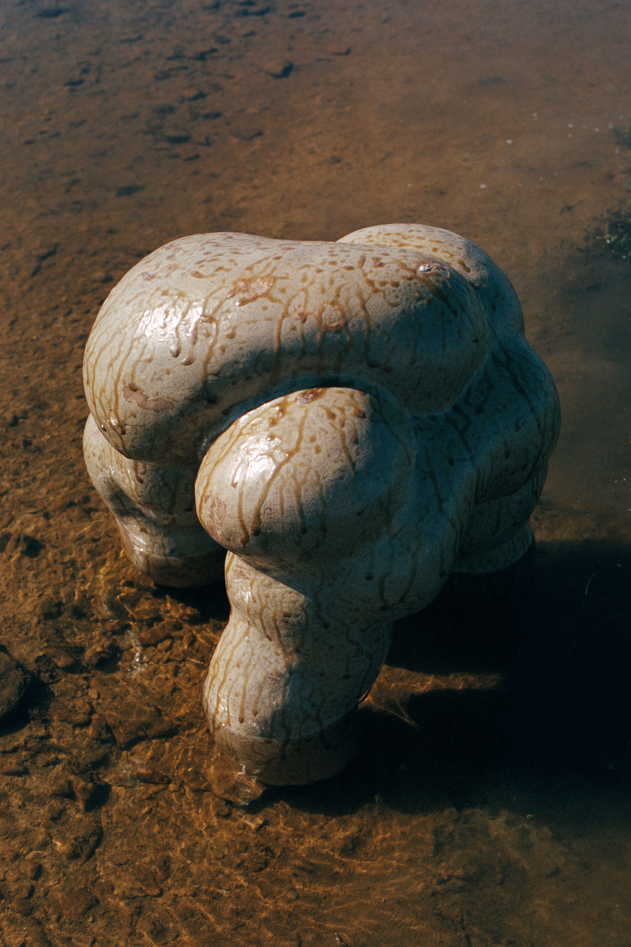 Creatures of Mud