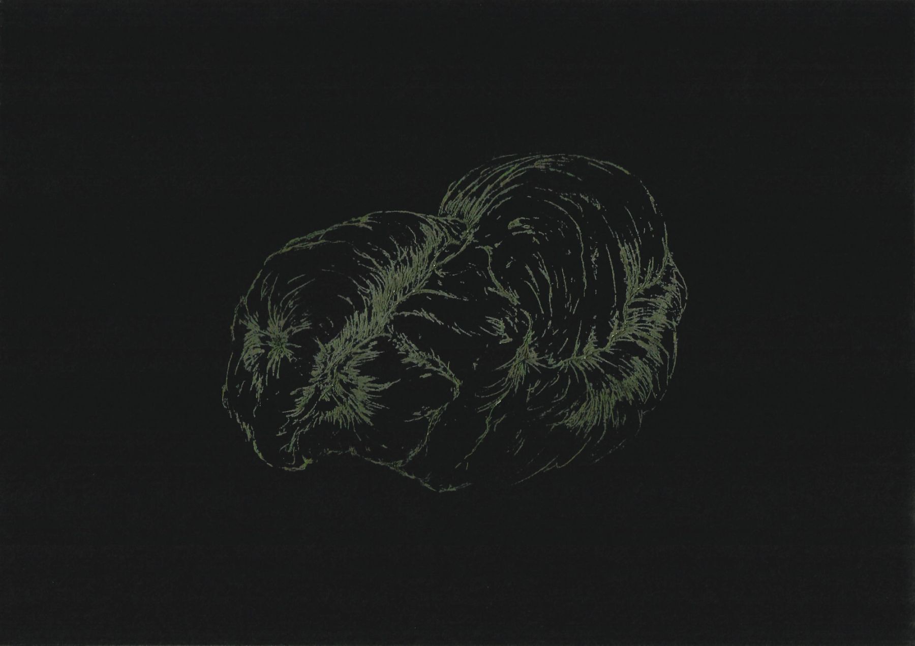 AFA_Resonancia-del-pliegue-4