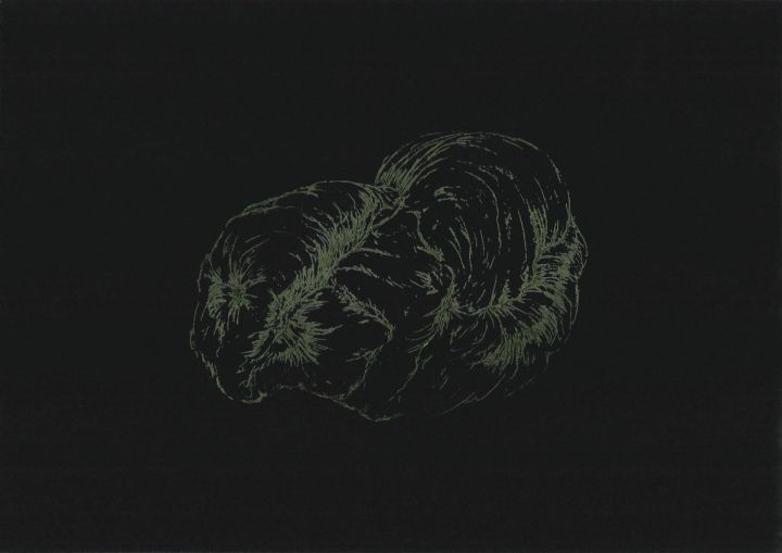 AFA_Resonancia-del-pliegue-4