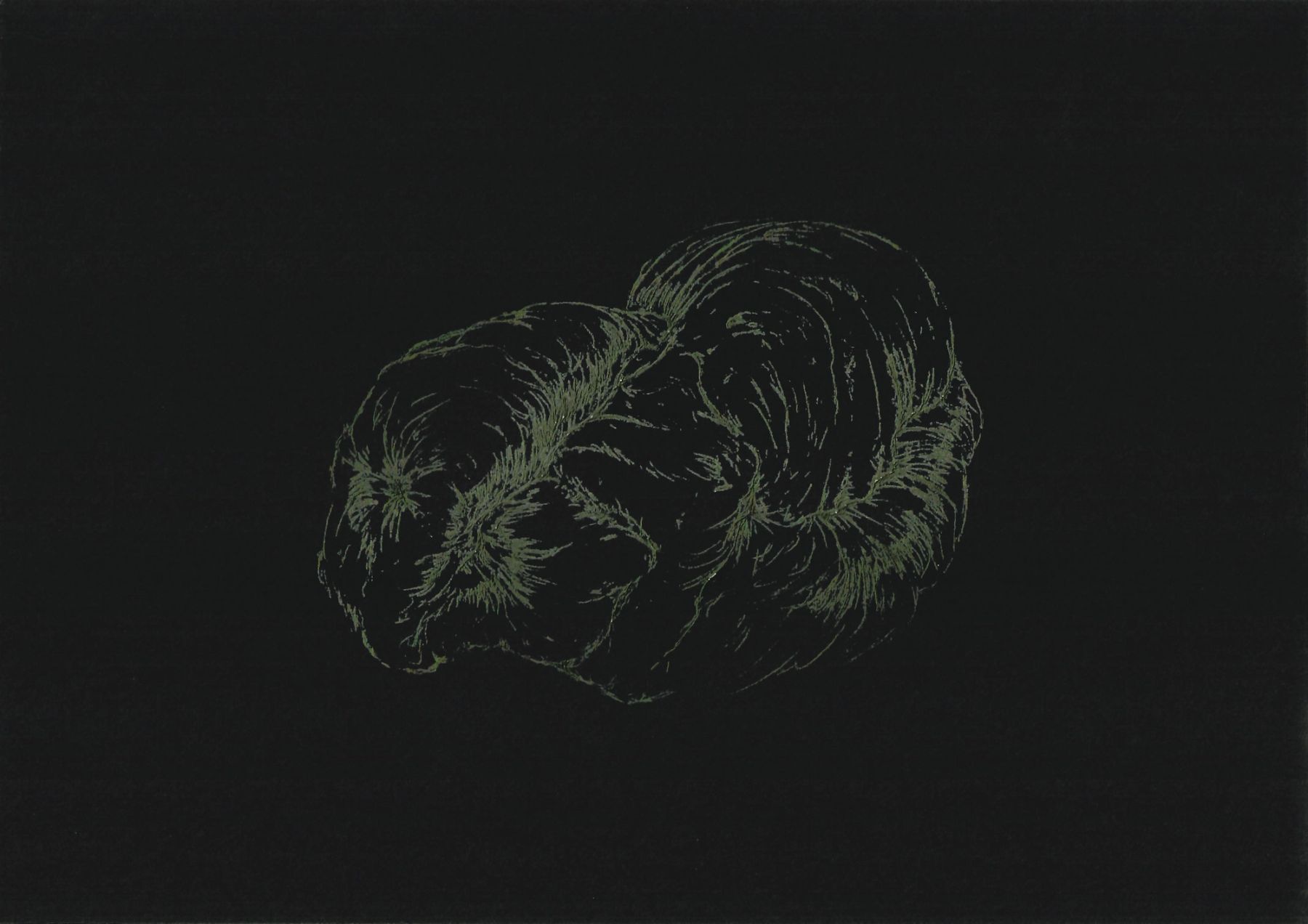 AFA_Resonancia-del-pliegue-4