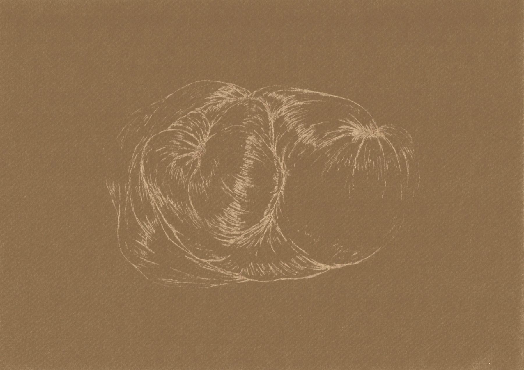 AFA_Resonancia-del-pliegue-8