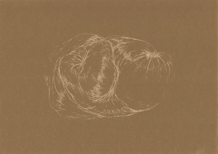 AFA_Resonancia-del-pliegue-8