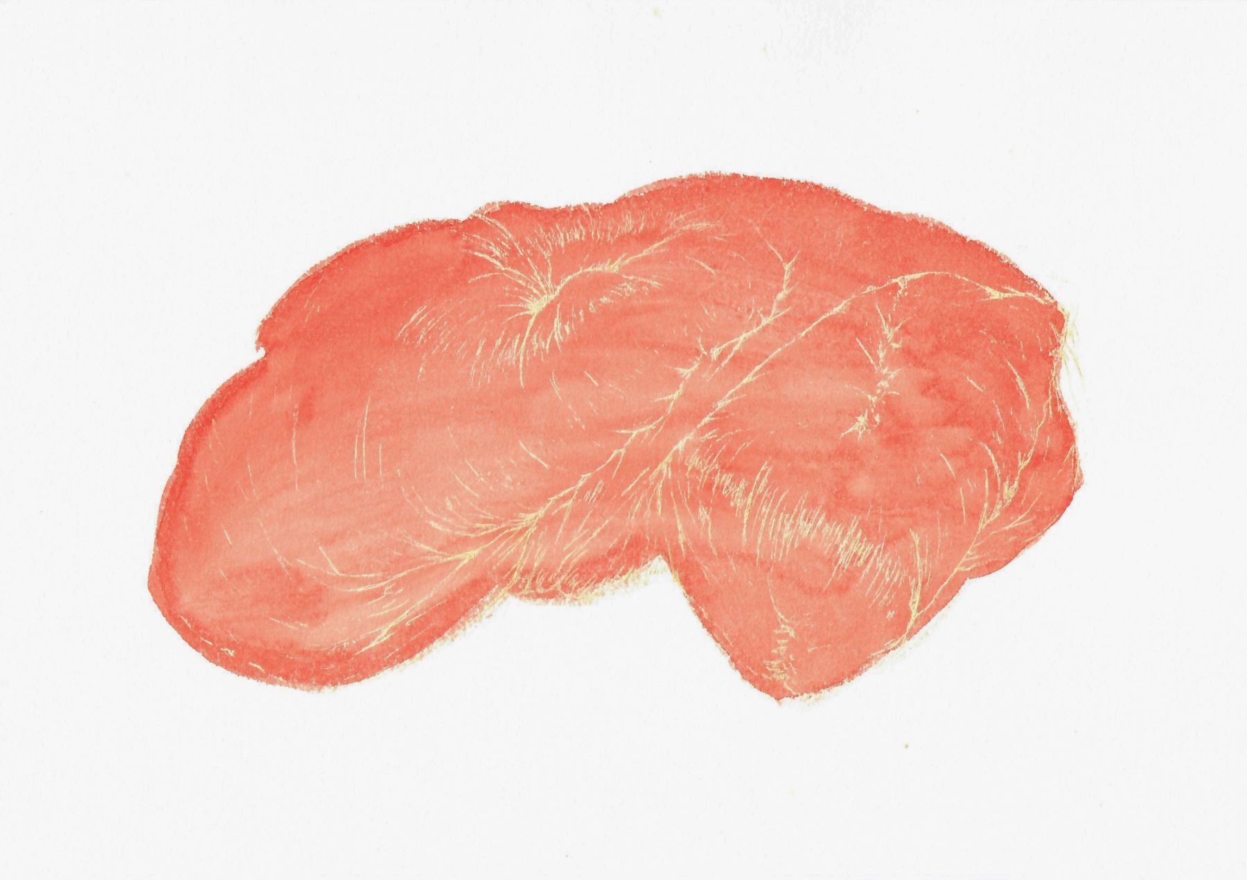 AFA_Resonancia-del-pliegue-2