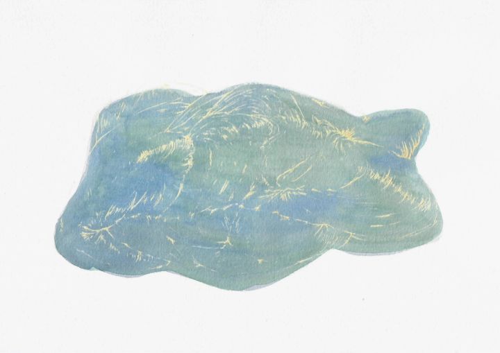 AFA_Resonancia-del-pliegue-1