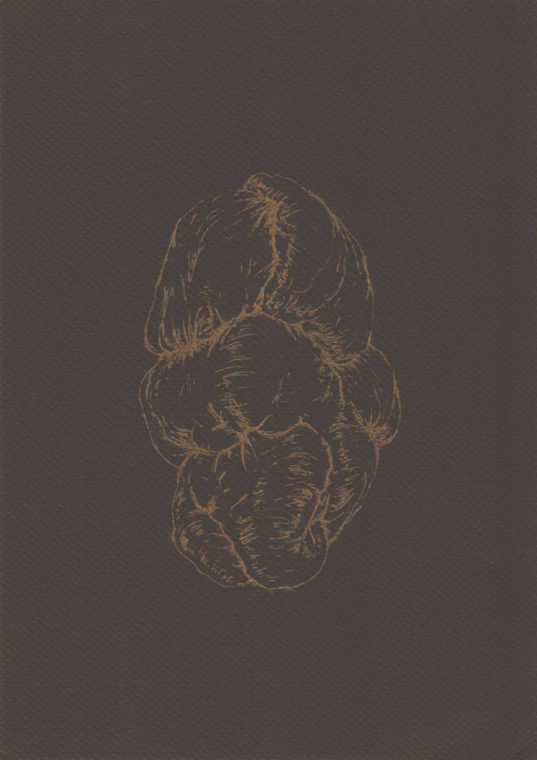 AFA_Resonancia-del-pliegue-6