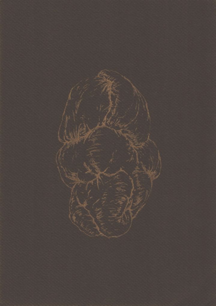 AFA_Resonancia-del-pliegue-6