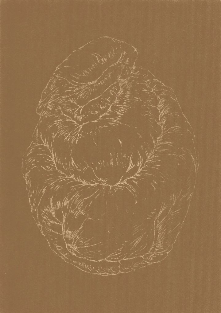 AFA_Resonancia-del-pliegue-7