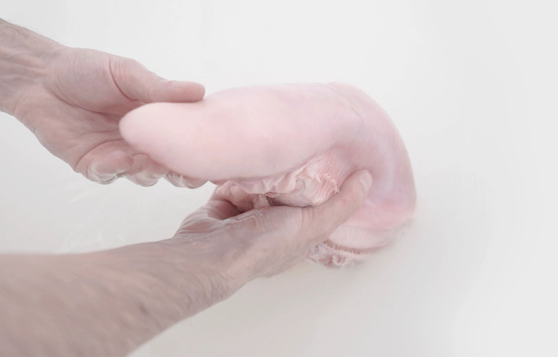 024. Hermes. By Mit Borras. Adaptasi Cycle. Art Director Rachel Lamot. Perfomed by Elan Dorphium. 2025