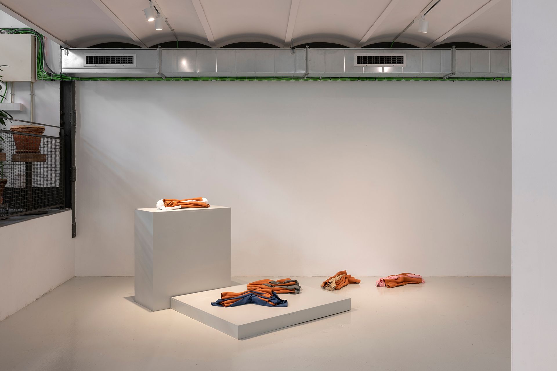 _DSC1809