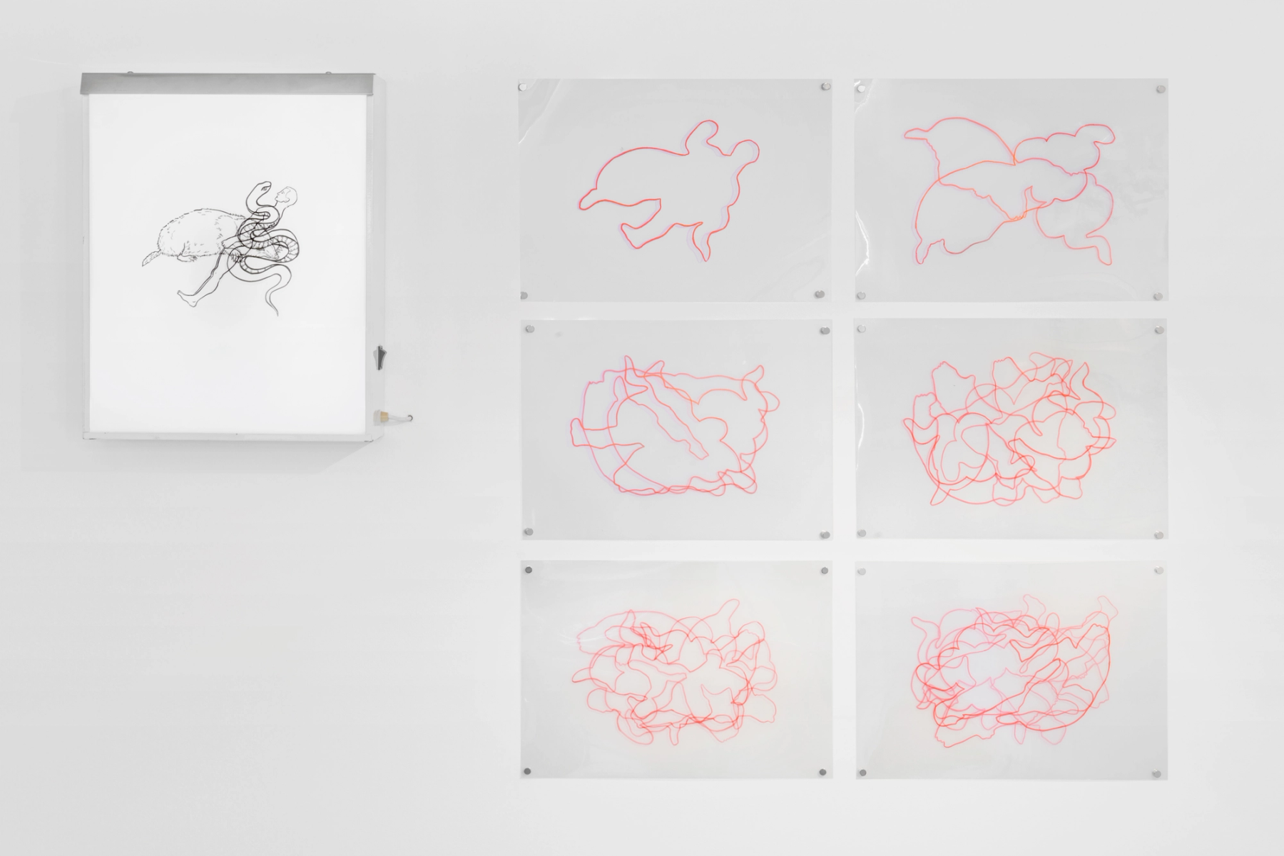 Fantasías, fantasmas y fósiles