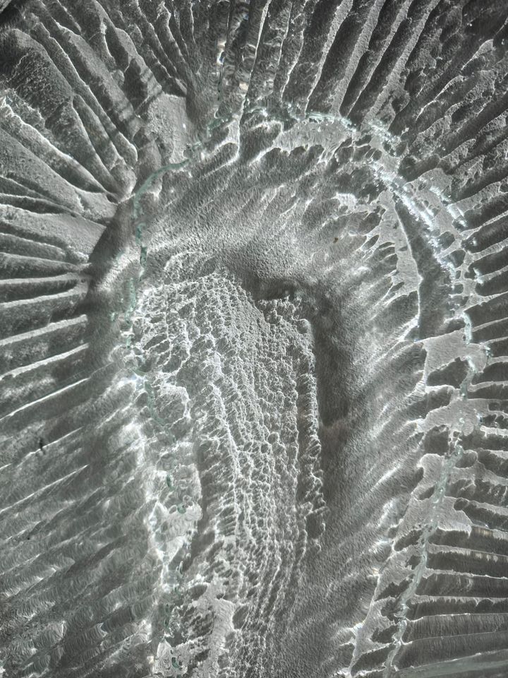 Terra entrañas 1, 2025, 151,5x111,2 cm