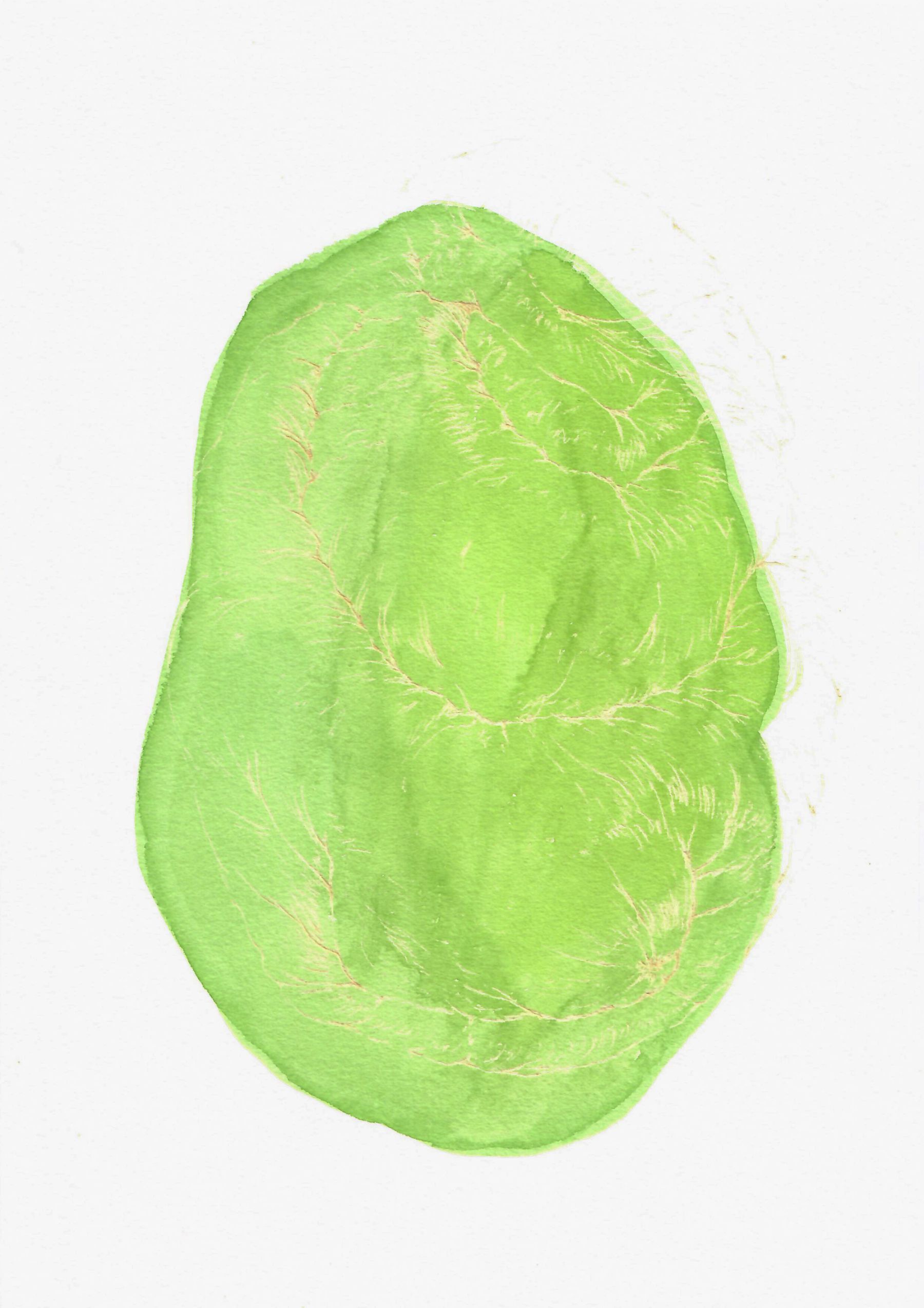 AFA_Resonancia-del-pliegue-3