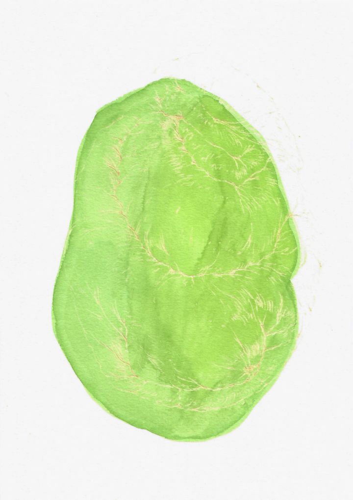 AFA_Resonancia-del-pliegue-3