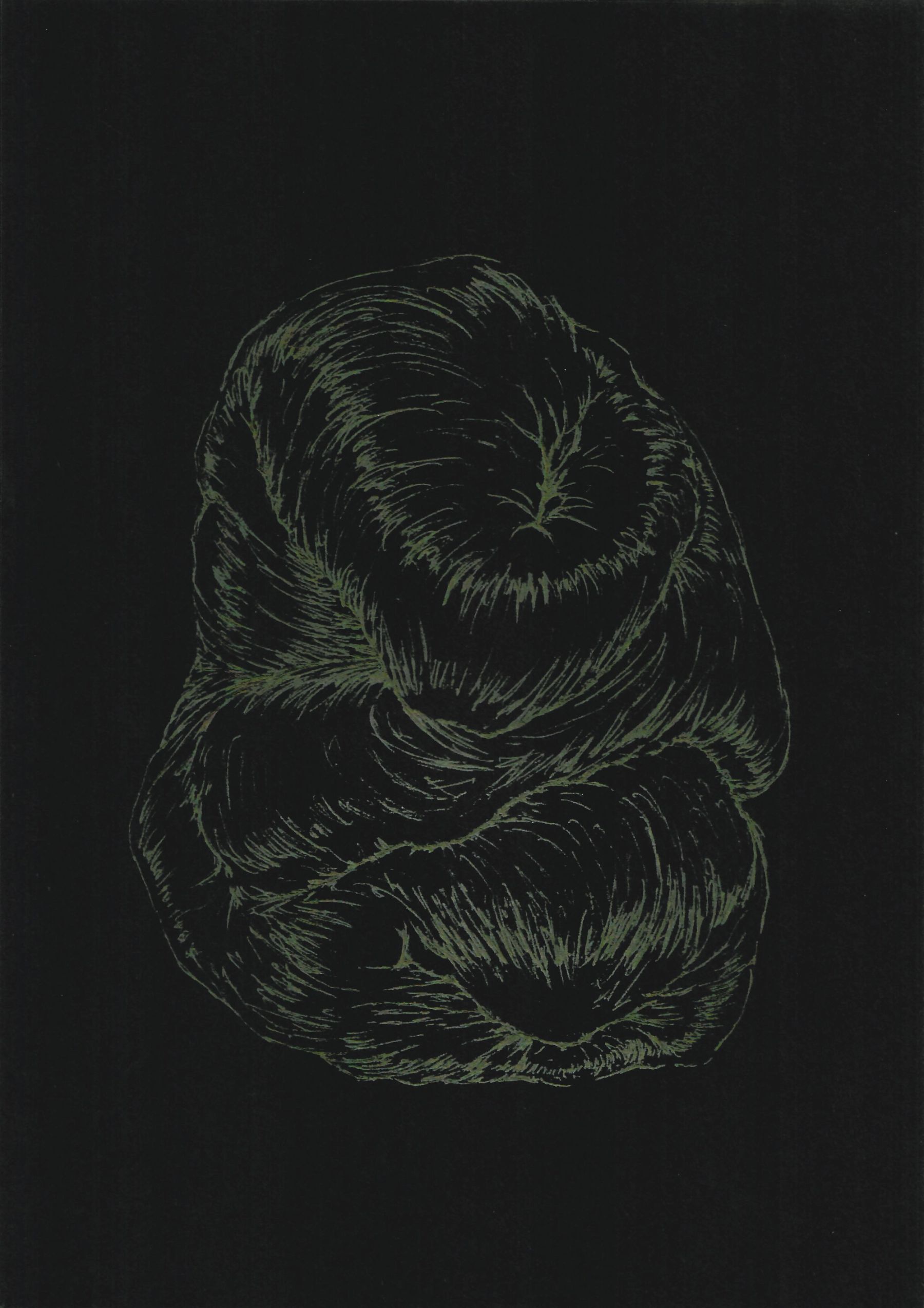 AFA_Resonancia-del-pliegue-5