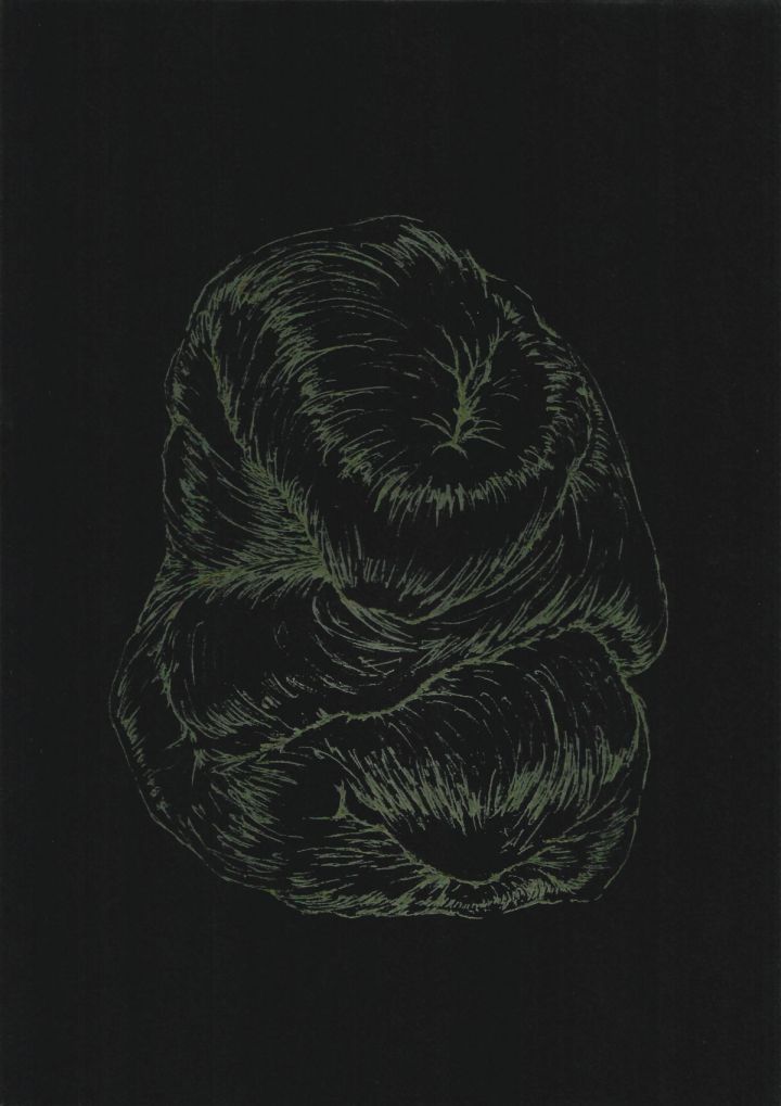 AFA_Resonancia-del-pliegue-5